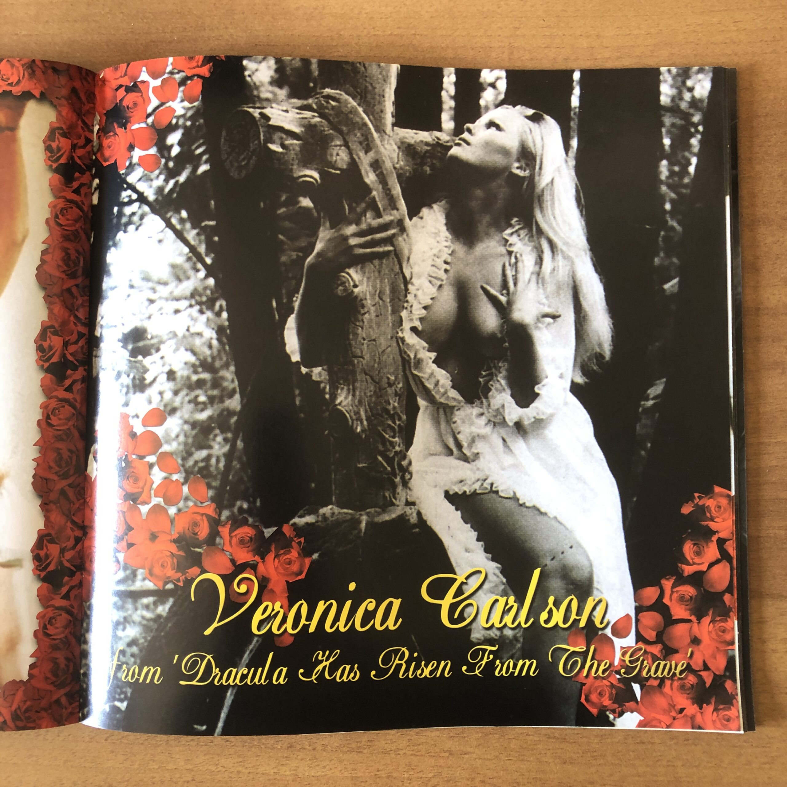 Various: Live Forever (The Most Beautiful & Haunting Gothic Collection) - immagine 11